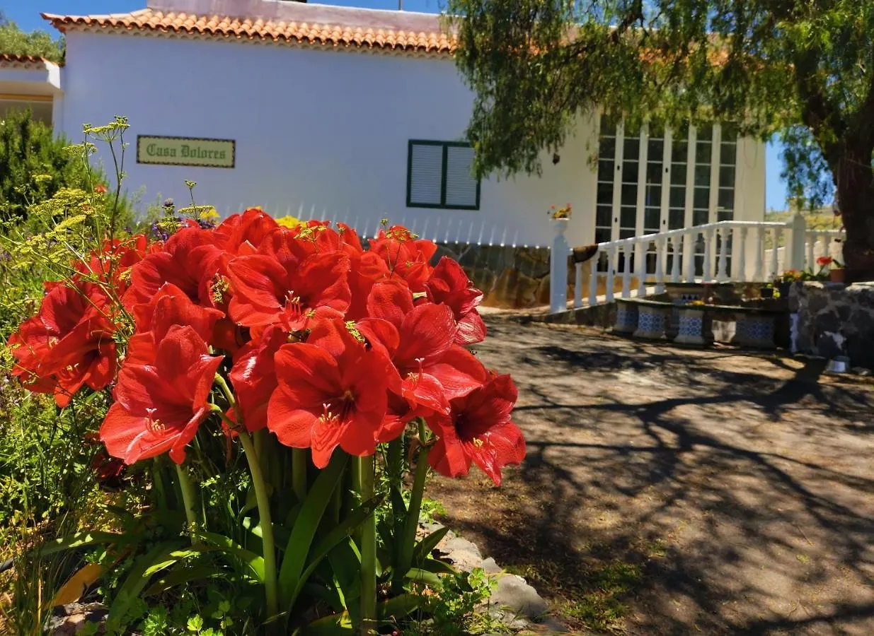 Casa Rural Dolores En Adeje Costa Adeje  0*, Costa Adeje (Tenerife)
